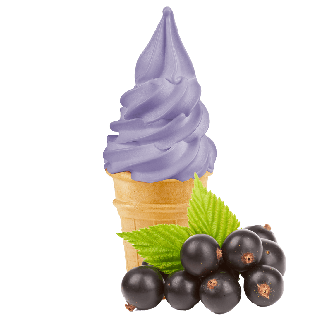 schwarze Johannisbeere